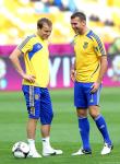Украина Швеция: перед матчем