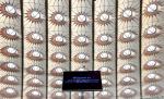 Украина Швеция: перед матчем