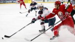 Отчет о матче Белоруссия - США ЧМ-2014 по хоккею
