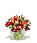 Самые свежие и красивые цветы с доставкой